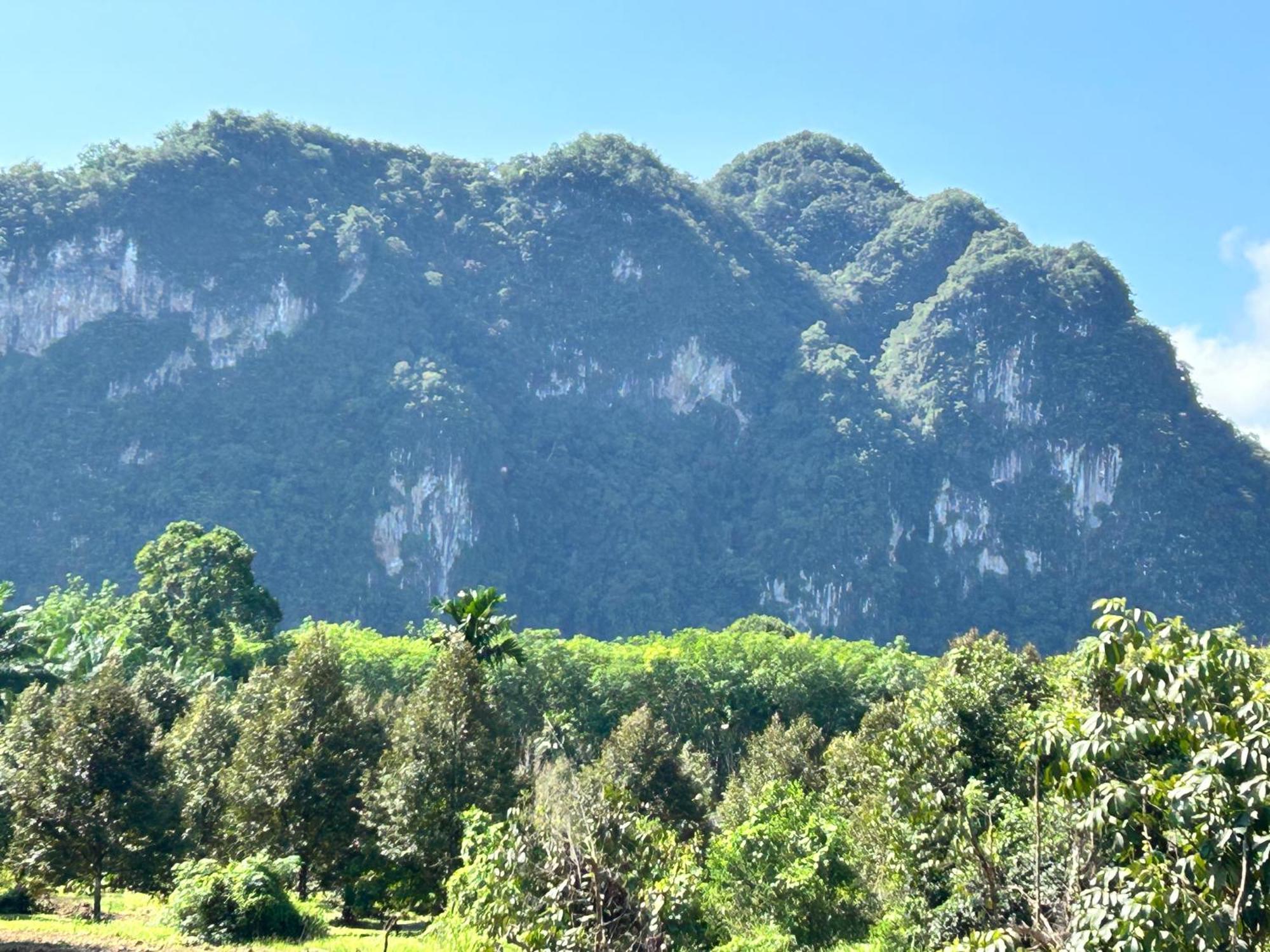 Khaosok Secret Hostel Khao Sok National Park Exteriör bild